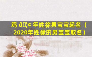 鸡 🦢 年姓徐男宝宝起名（2020年姓徐的男宝宝取名）